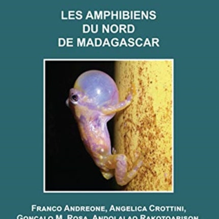 Les Amphibiens du Nord de Madagascar