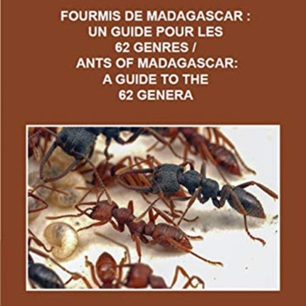Ants of Madagascar  A Guide to the 62 Genera