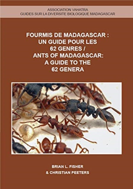Ants of Madagascar  A Guide to the 62 Genera