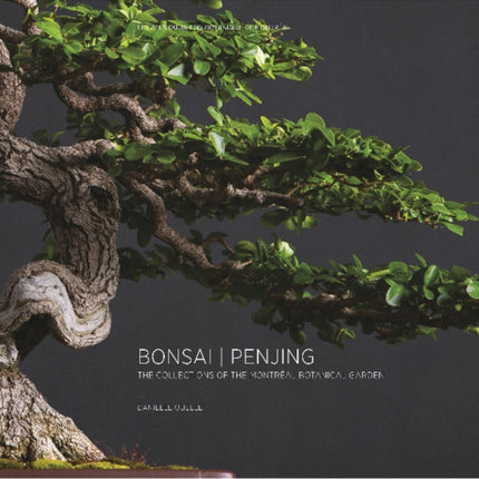 Bonsai   Penjing: The Collections of the Montréal