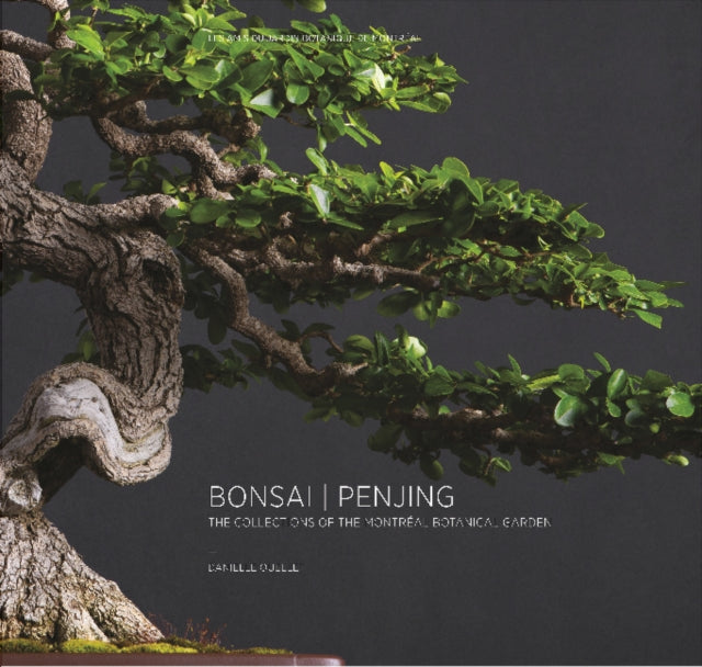 Bonsai   Penjing: The Collections of the Montréal