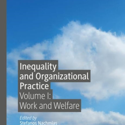 Inequality and Organizational Practice: Volume I: Work and Welfare