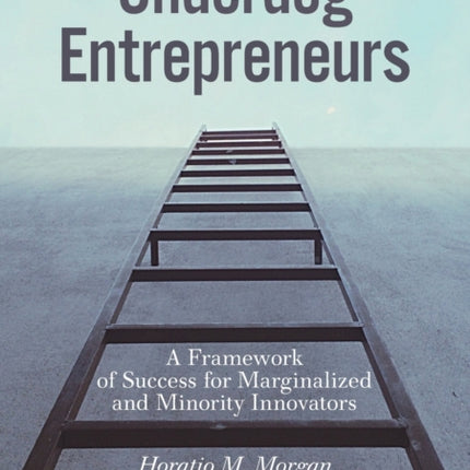 Underdog Entrepreneurs: A Framework of Success