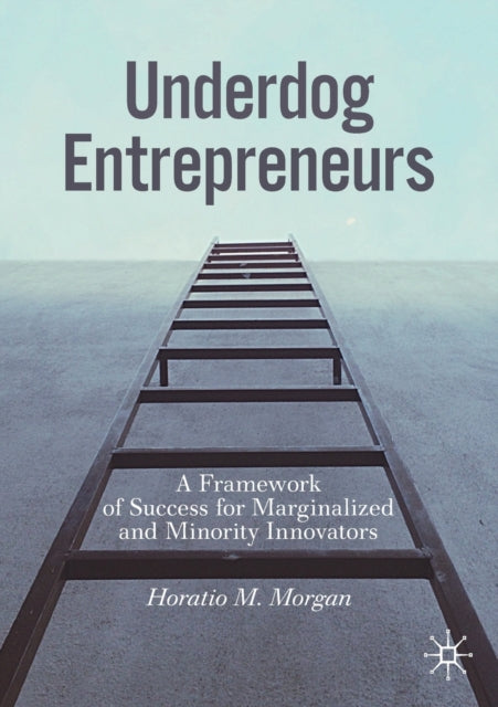 Underdog Entrepreneurs: A Framework of Success