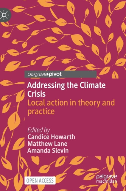 Addressing the Climate Crisis: Local action in theory and practice