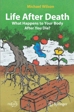Life After Death: What Happens to Your Body After
