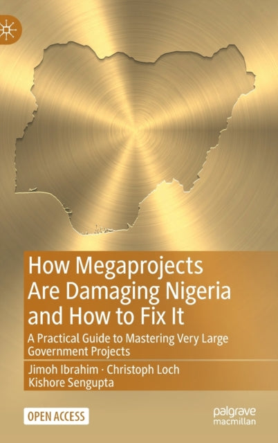 How Megaprojects Are Damaging Nigeria and How to Fix It: A Practical Guide to Mastering Very Large Government Projects