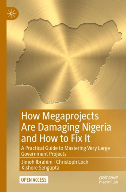 How Megaprojects Are Damaging Nigeria and How to