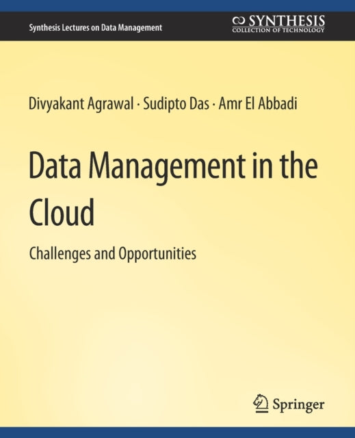 Data Management in the Cloud