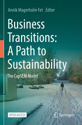 Business Transitions: A Path to Sustainability: The CapSEM Model