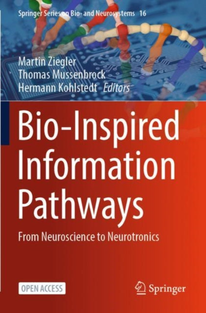 Bio-Inspired Information Pathways: From Neuroscience to Neurotronics