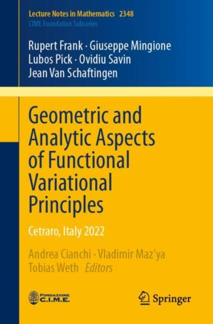 Geometric and Analytic Aspects of Functional