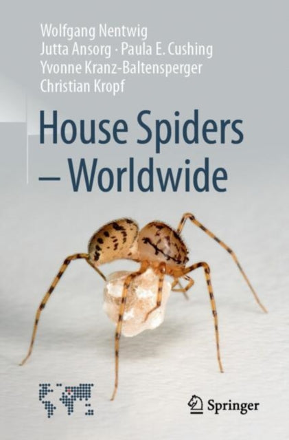House Spiders  Worldwide