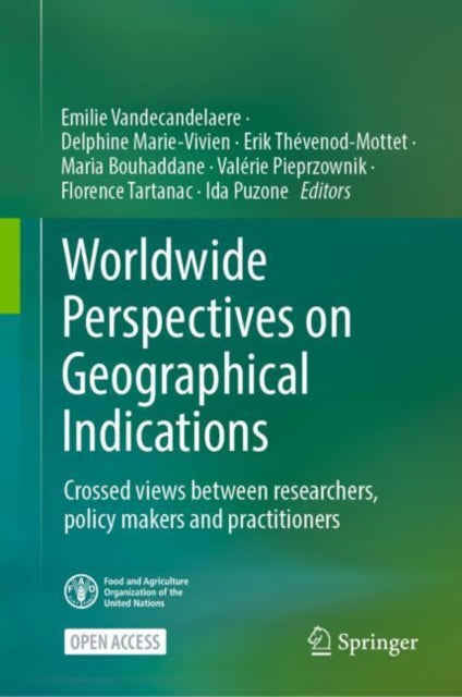 Worldwide Perspectives on Geographical