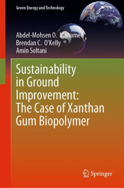 Sustainability in Ground Improvement The Case of