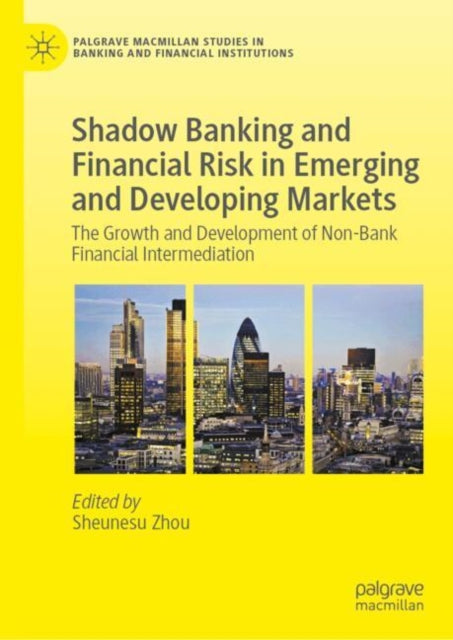 Shadow Banking and Financial Risk in Emerging and