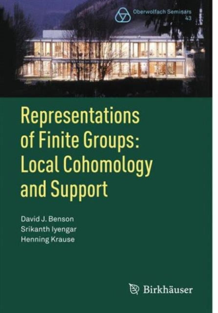 Representations of Finite Groups: Local Cohomology and Support