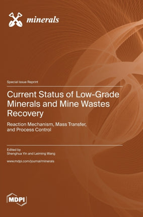 Current Status of Low-Grade Minerals and Mine