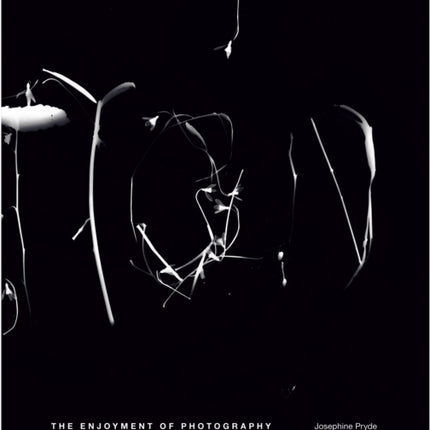 Josephine Pryde: The Enjoyment of Photography