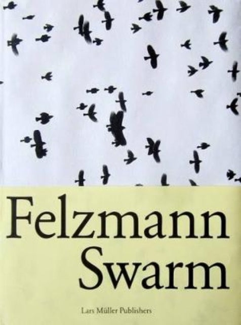 Lukas Felzmann Swarm