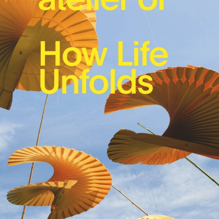 How Life Unfolds