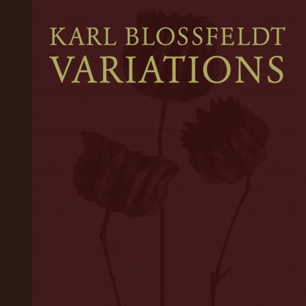 Karl Blossfeldt: Variations