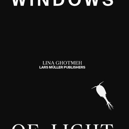 Windows of Light