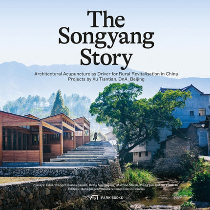 The Songyang Story: Architectural Acupuncture as