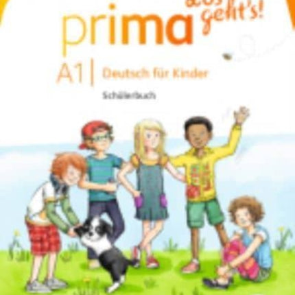 Schulerbuch 1 mit Audios online