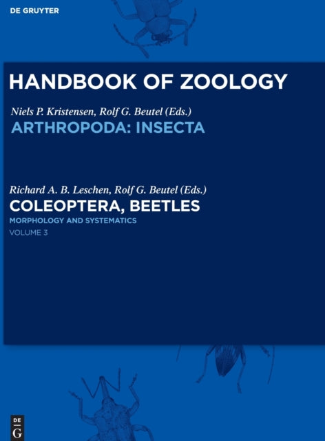 Morphology and Systematics: Phytophaga