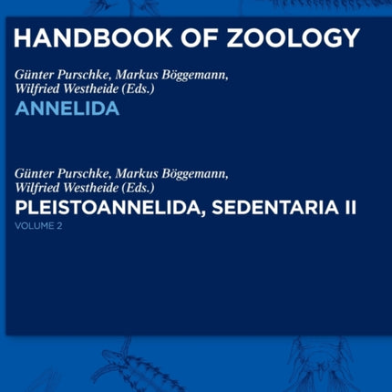 Pleistoannelida, Sedentaria II