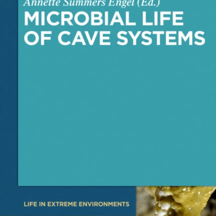 Microbial Life of Cave Systems