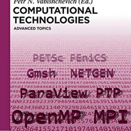 Computational Technologies: Advanced Topics