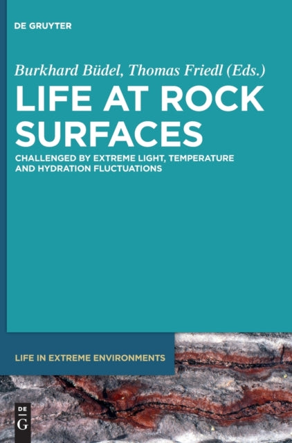 Life at Rock Surfaces: Challenged by Extreme