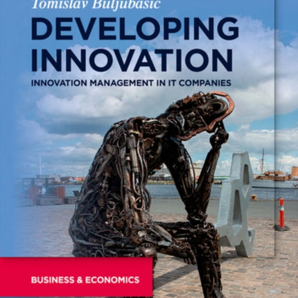 Developing Innovation: Innovation Management in IT Companies