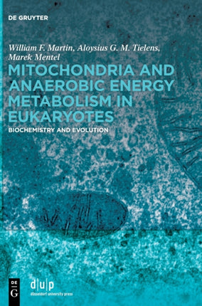 Mitochondria and Anaerobic Energy Metabolism in Eukaryotes: Biochemistry and Evolution
