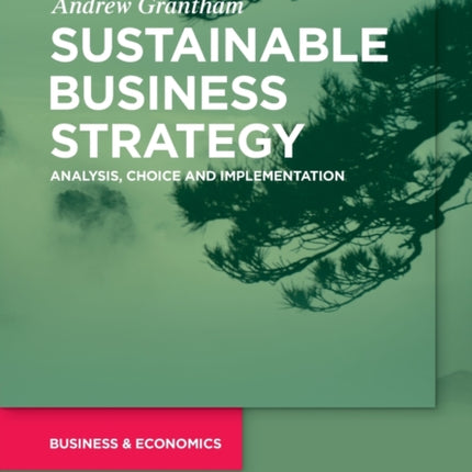 Sustainable Business Strategy: Analysis, Choice and Implementation