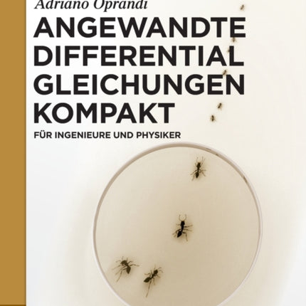 Angewandte Differentialgleichungen Kompakt: Für Ingenieure Und Physiker