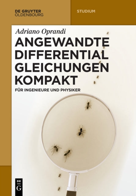 Angewandte Differentialgleichungen Kompakt: Für Ingenieure Und Physiker