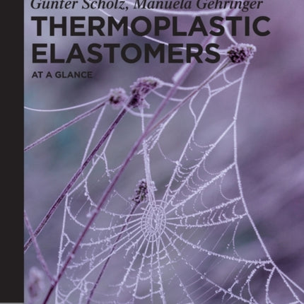 Thermoplastic Elastomers: At a Glance