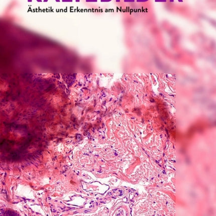 Kältebilder: Ästhetik und Erkenntnis am