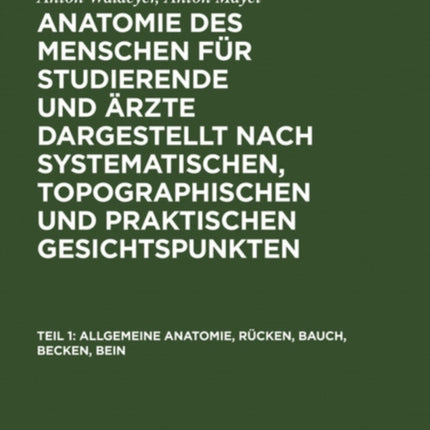 Allgemeine Anatomie, Rücken, Bauch, Becken, Bein