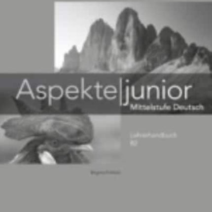 Aspekte junior