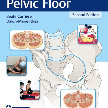 Fitness for the Pelvic Floor