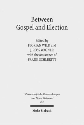 Between Gospel and Election: Explorations in the Interpretation of Romans 9-11