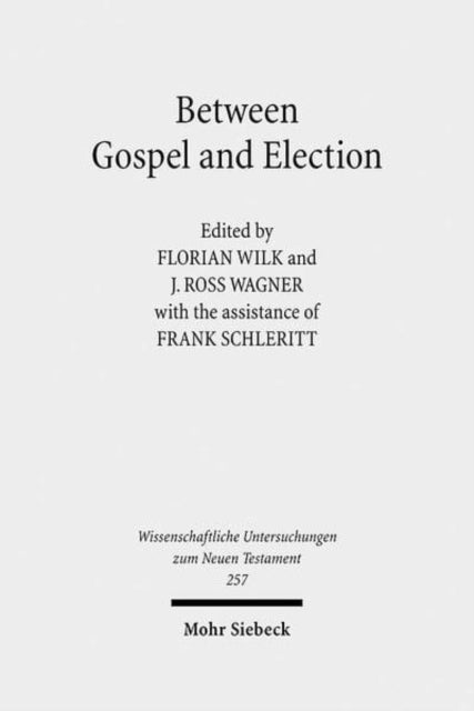 Between Gospel and Election: Explorations in the Interpretation of Romans 9-11