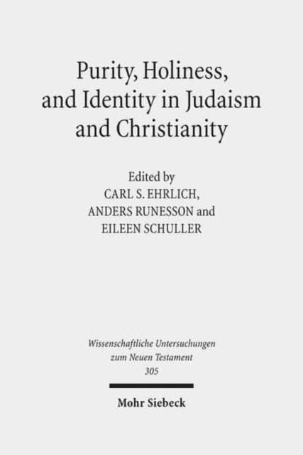 Purity, Holiness, and Identity in Judaism and Christianity: Essays in Memory of Susan Haber