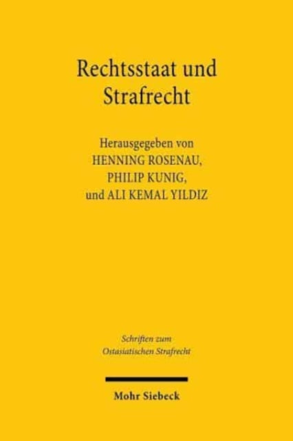 Rechtsstaat und Strafrecht: Anforderungen und Anfechtungen