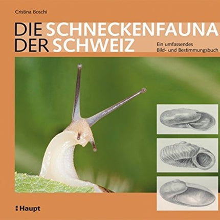 DIE SCHNECKENFAUNA DER SCHWEIZ Ein umfassendes