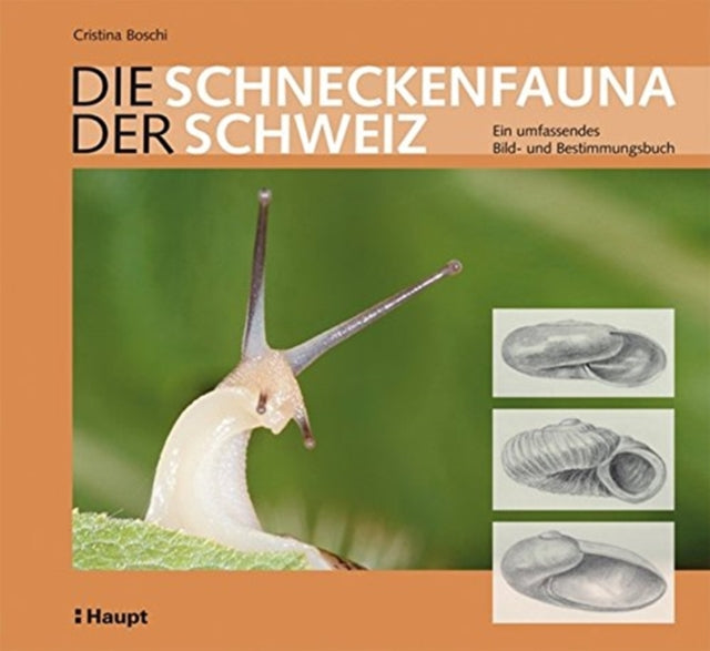 DIE SCHNECKENFAUNA DER SCHWEIZ Ein umfassendes Bild und Bestimmungsbuch